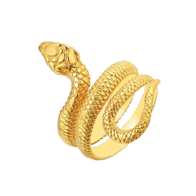 Retro Norse Mythology Men Ouroboros Ring Vivareflex Online