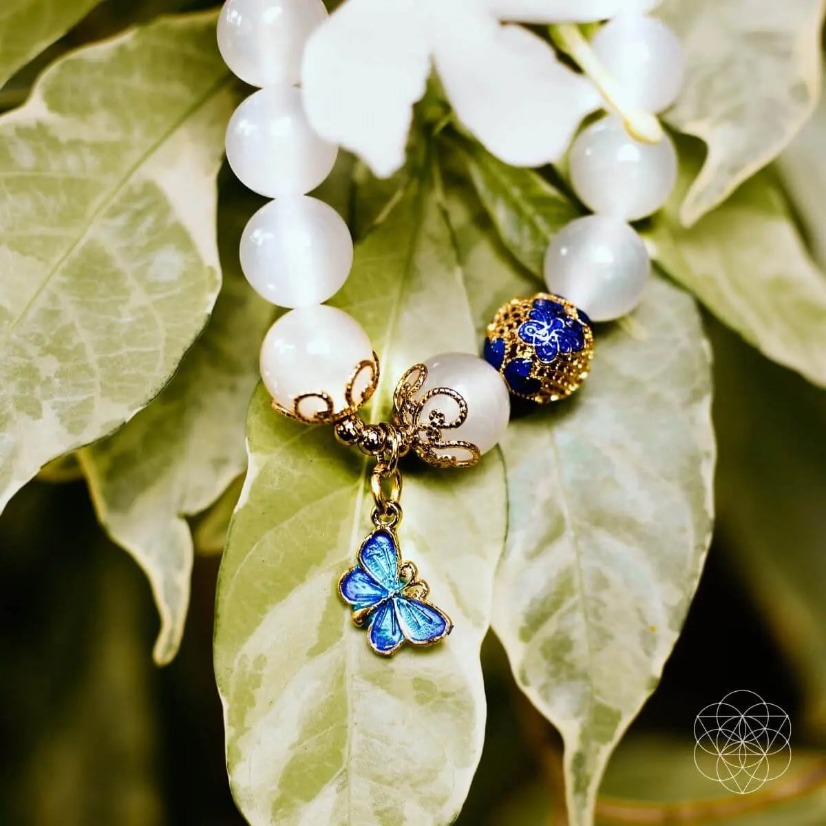 The Spiritual Growth Bracelet Conscious Items