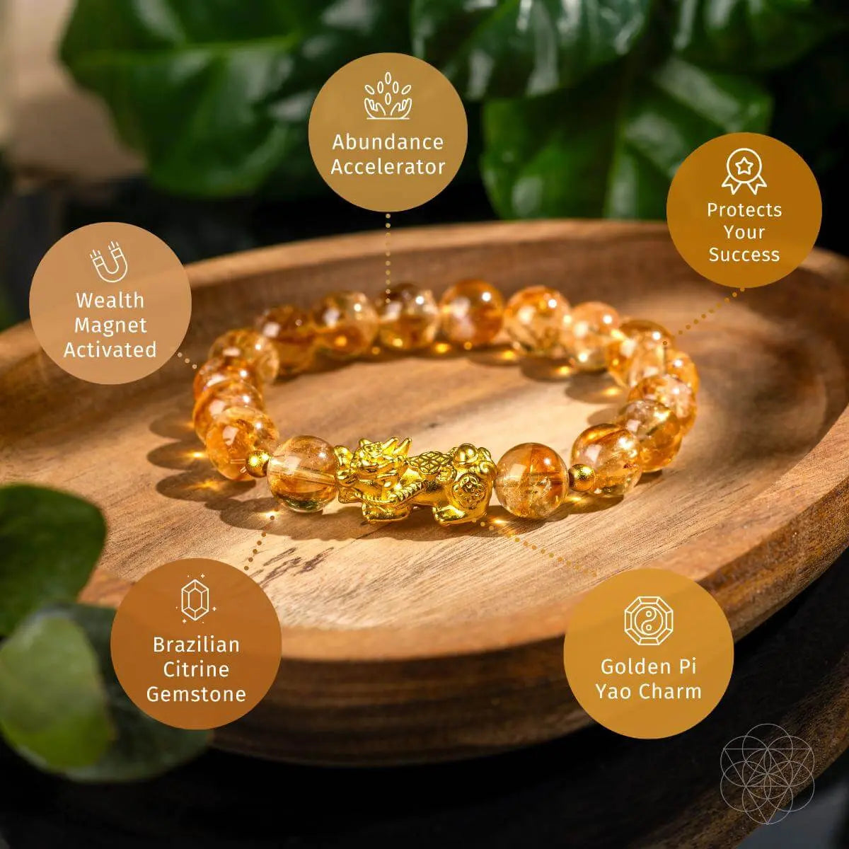 The Ultimate Wealth Bracelet Conscious Items