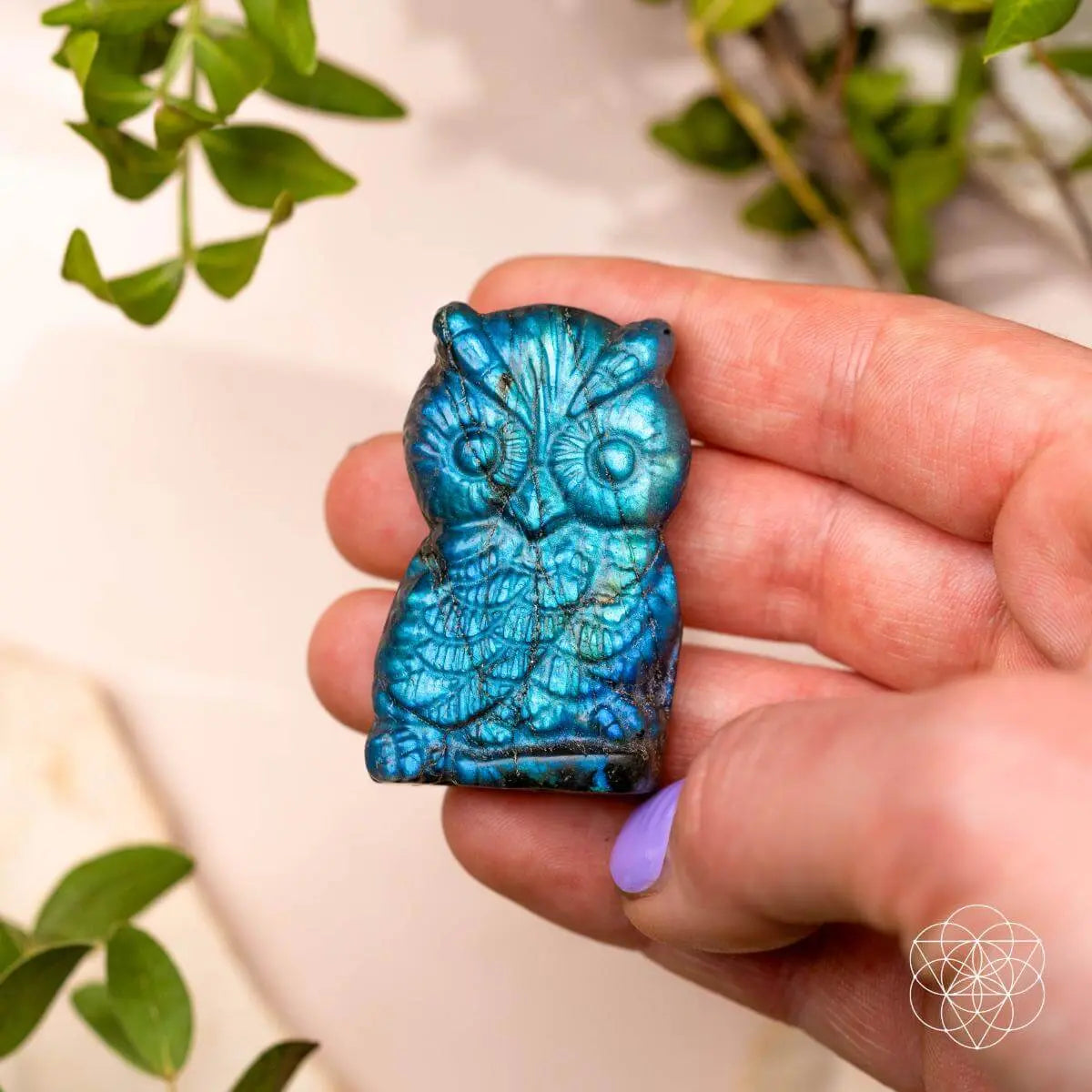 Token of Wisdom - Labradorite Owl Talisman Conscious Items