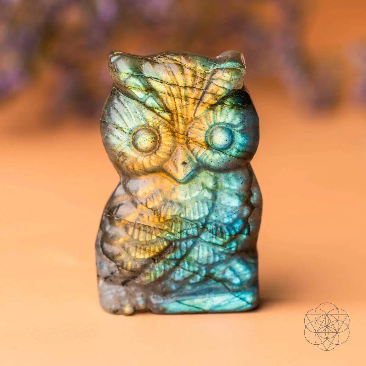 Token of Wisdom - Labradorite Owl Talisman Conscious Items