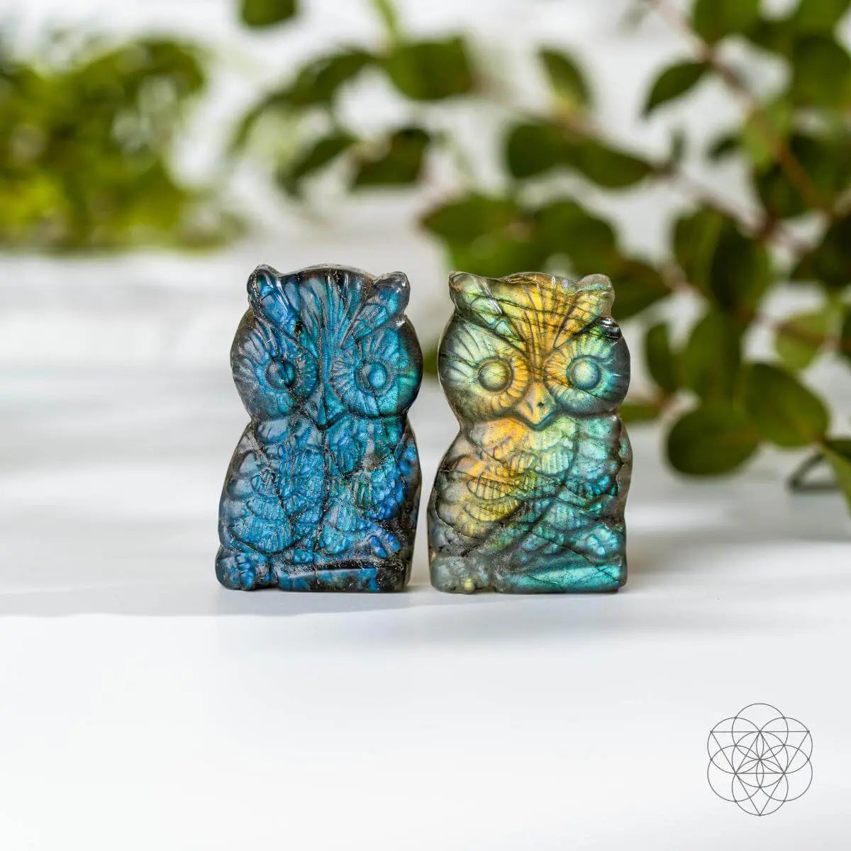 Token of Wisdom - Labradorite Owl Talisman Conscious Items