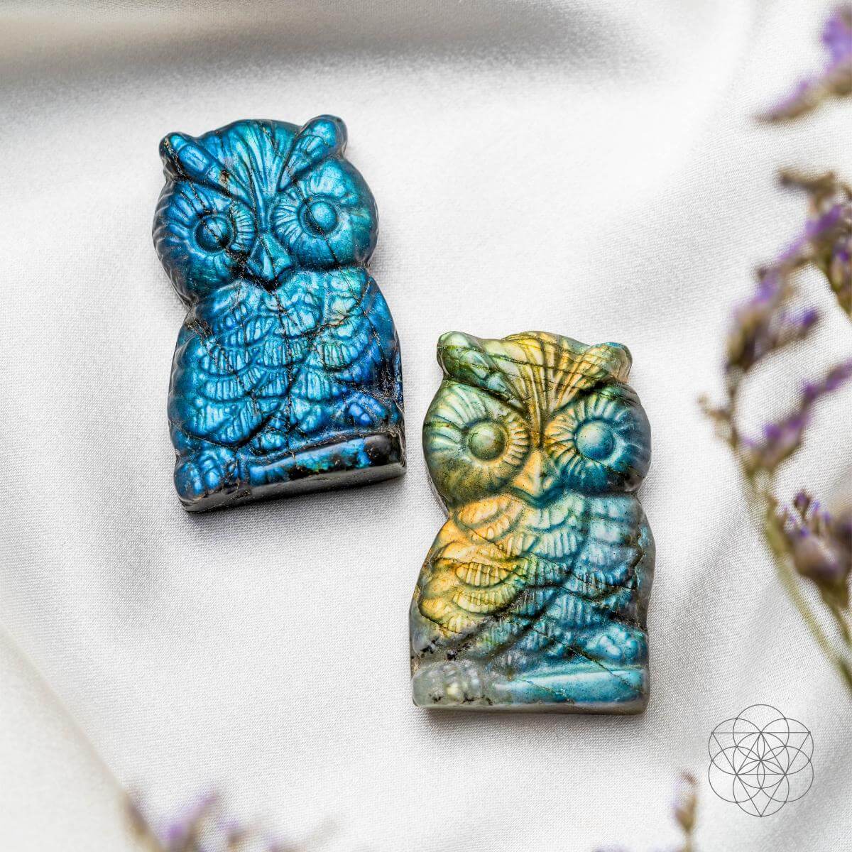 Token of Wisdom - Labradorite Owl Talisman Conscious Items