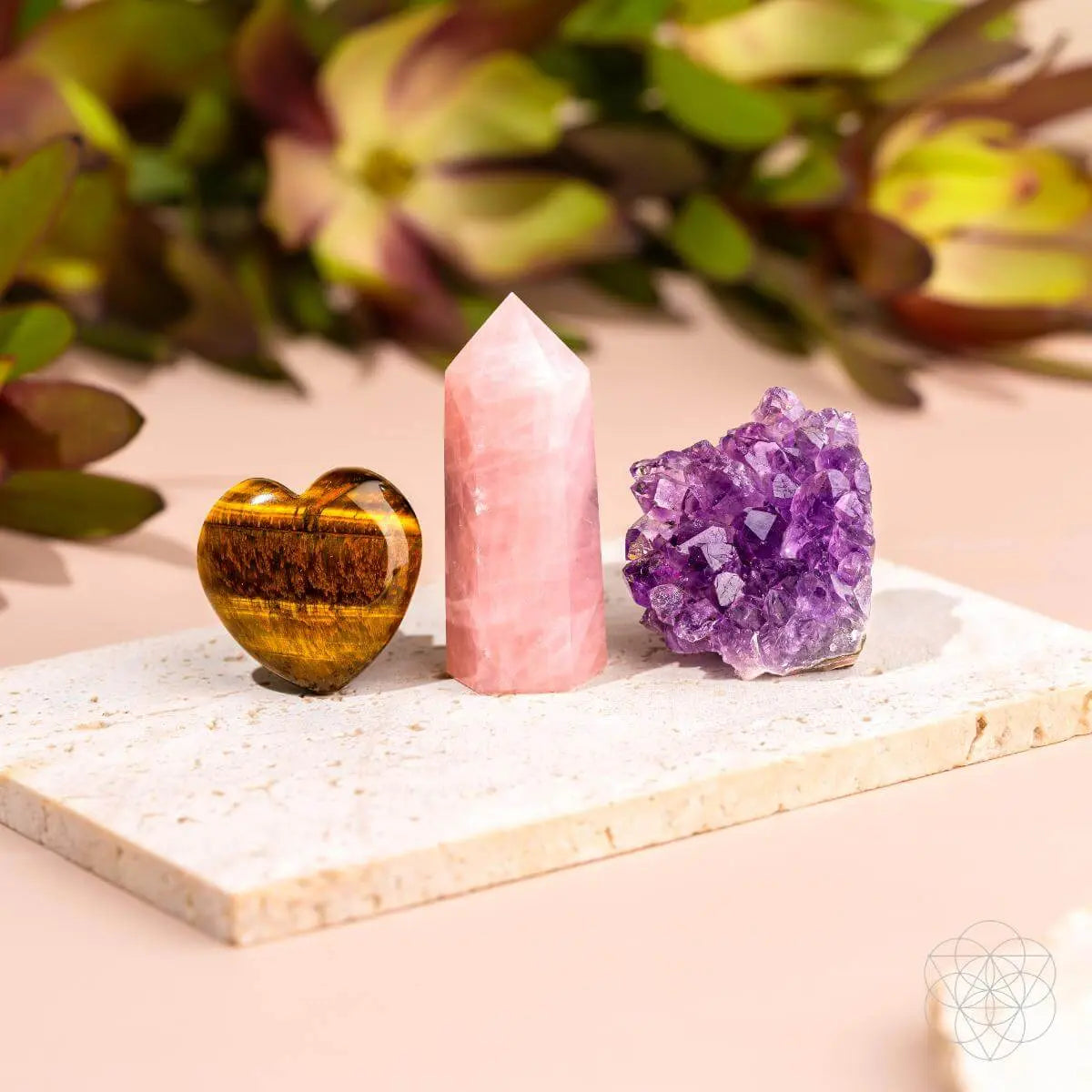 Ultimate Car Protection Trinity Conscious Items