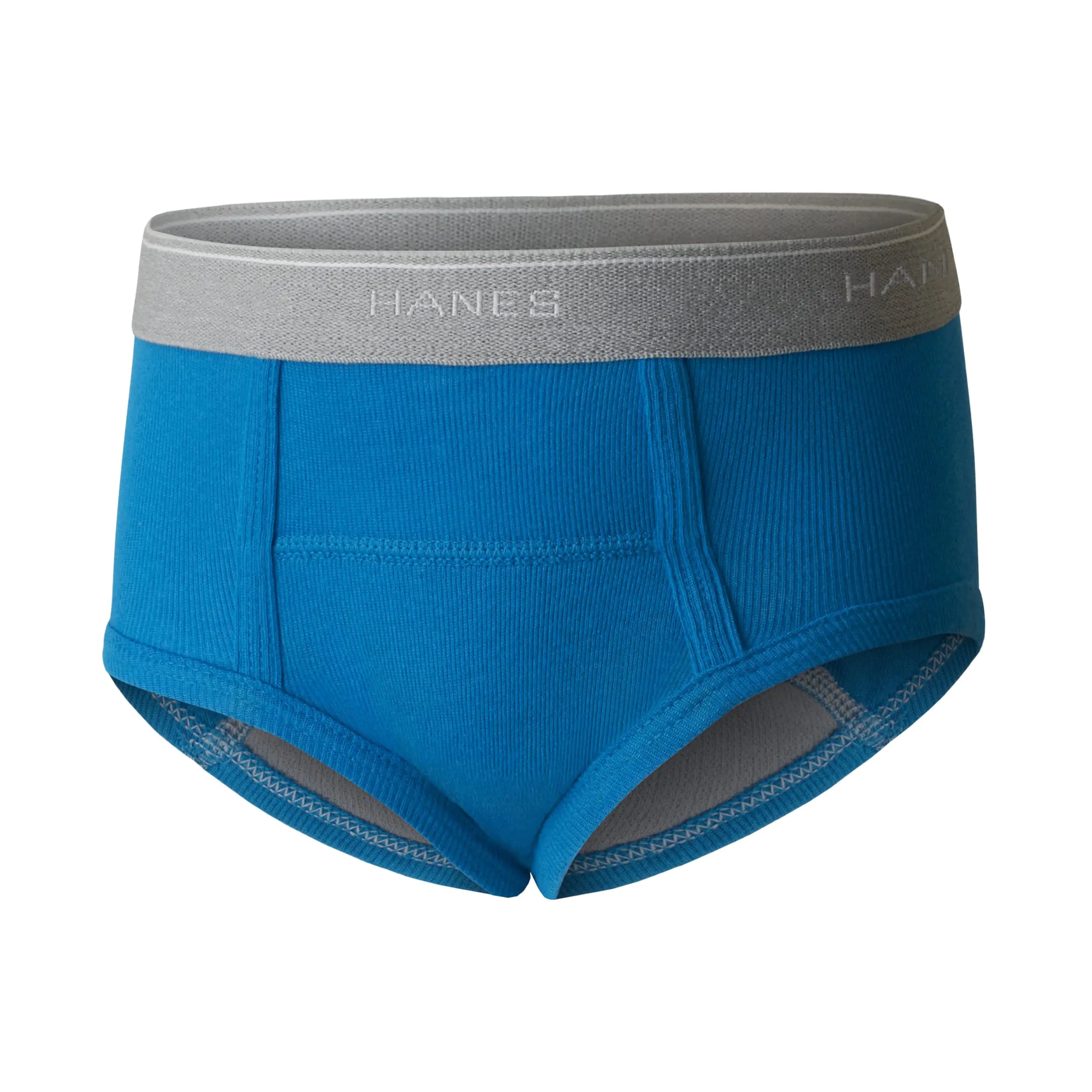 Hanes boys Potty Trainer Underwear 6-Pack 4T Briefs - Blue/Print Assorted - 6 Pack - Vivareflex Online