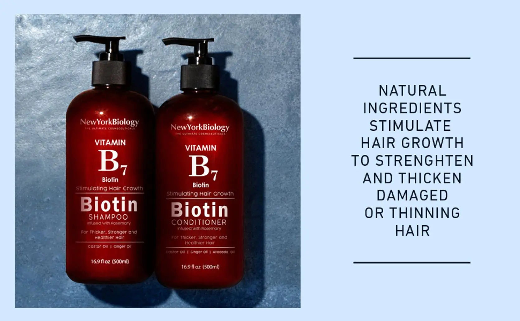 New York Biology Biotin Shampoo for Hair Growth and Thinning Hair – Thickening Formula for Hair Loss Treatment – For Men & Women – Anti Dandruff - 16.9 fl Oz 16.9 Fl Oz (Pack of 1) Biotin Shampoo - 16.9 Fl Oz (Pack of 1)