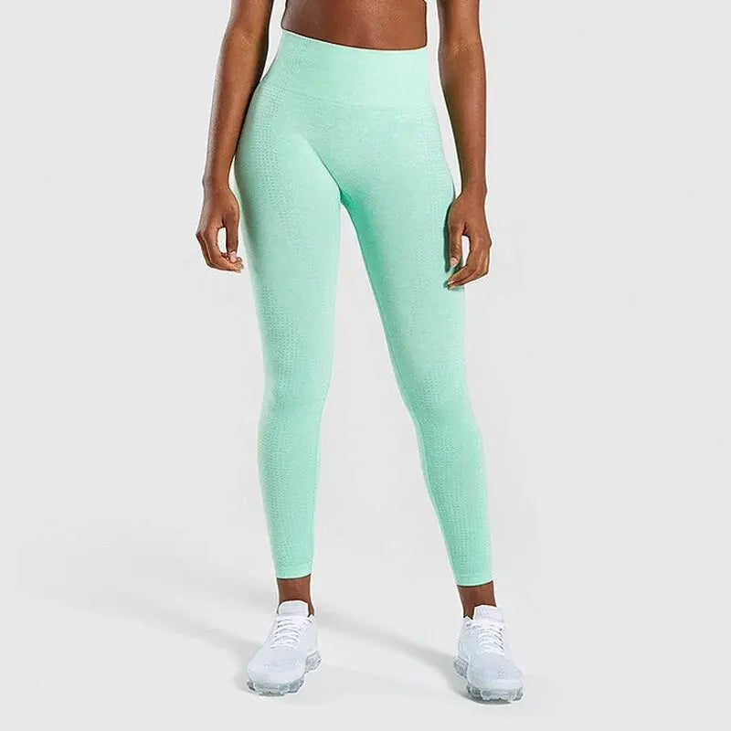 Women Black Seamless Leggings Tummy Control Vivareflex Online