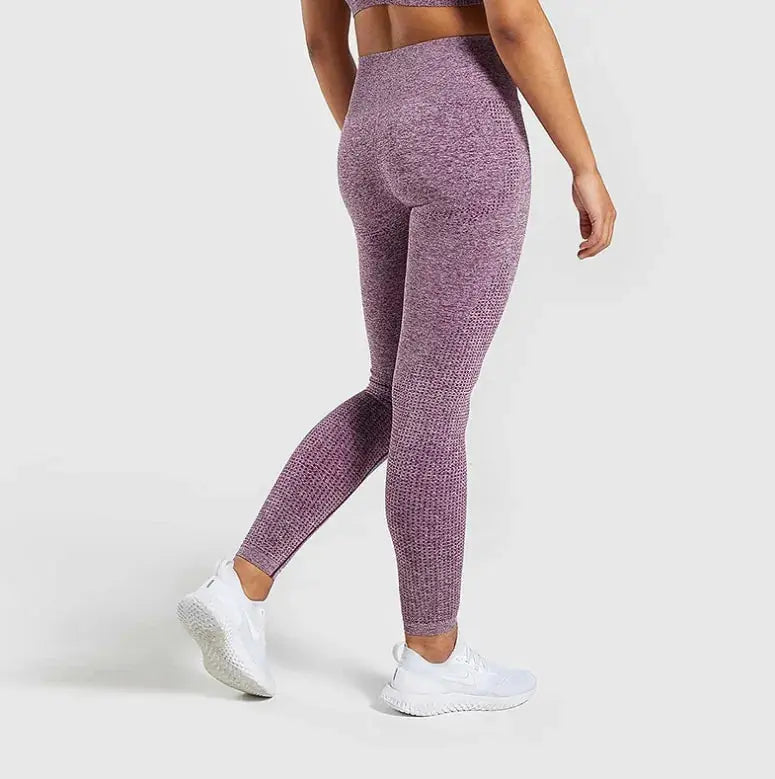 Women Black Seamless Leggings Tummy Control Vivareflex Online