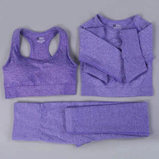 2/3PCS Seamless Women Workout Sportswear Vivareflex Online