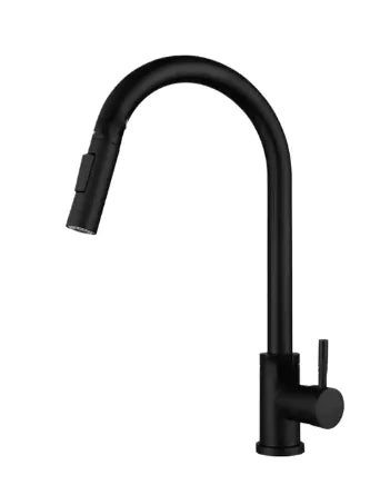 Brushed Nickel Pull-Out Kitchen Faucet - Vivareflex Online