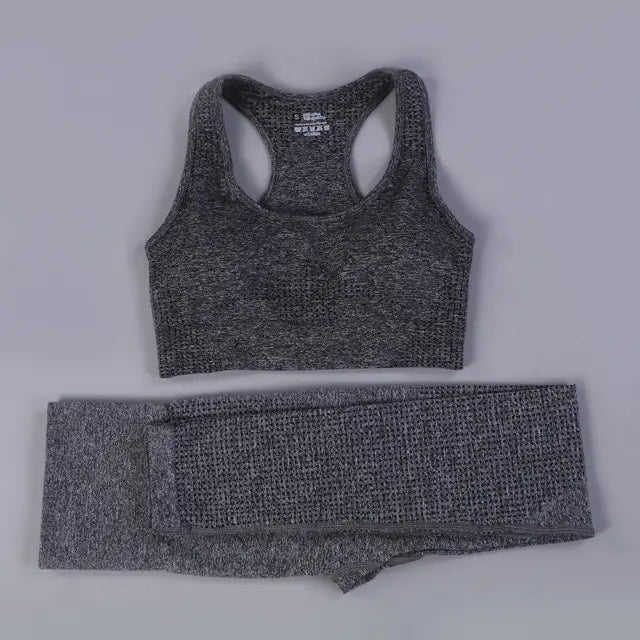 2/3PCS Seamless Women Workout Sportswear Vivareflex Online