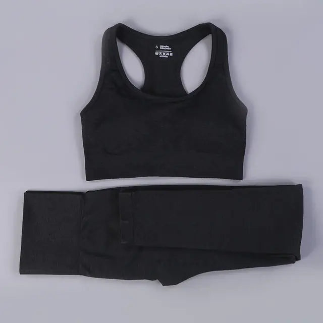 2/3PCS Seamless Women Workout Sportswear Vivareflex Online