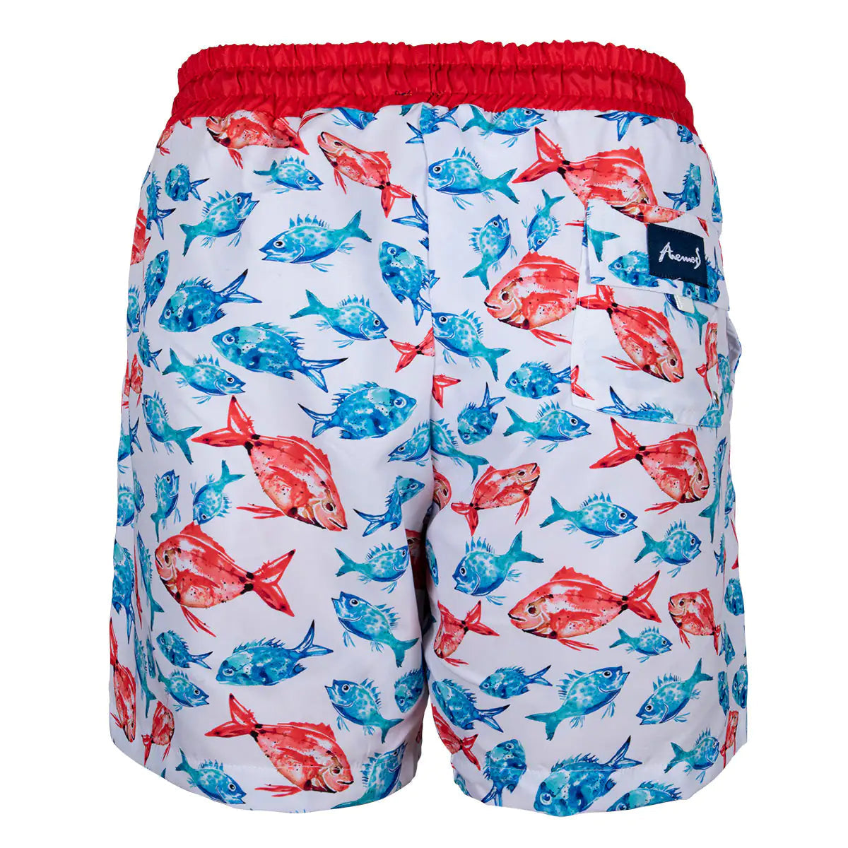 Anemoss Aquarium Men Swim Trunk Vivareflex Online