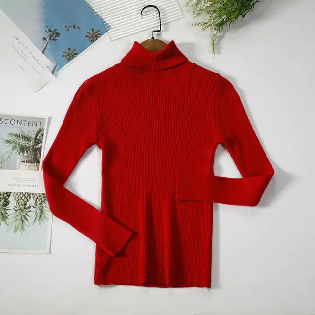 Turtleneck Women Sweaters Vivareflex Online