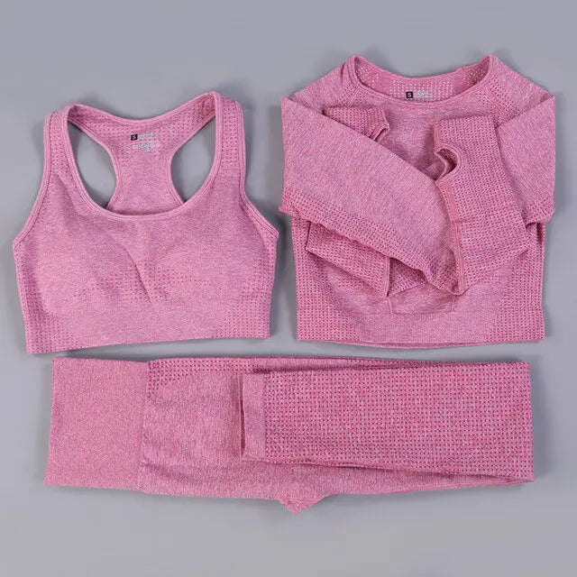 2/3PCS Seamless Women Workout Sportswear Vivareflex Online