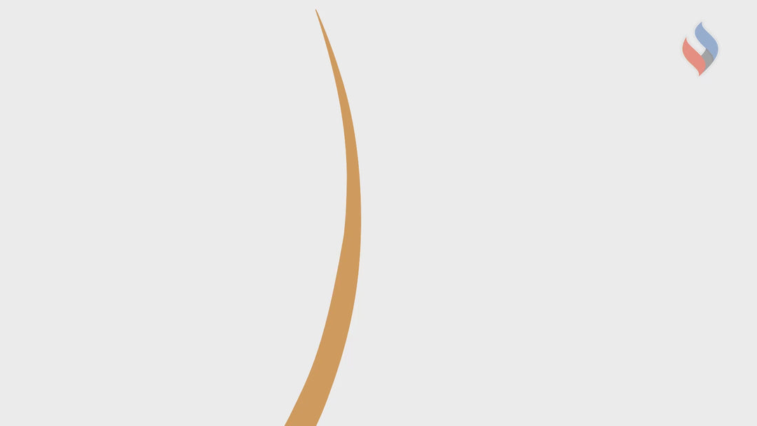 vx-va-p-8dc9df27778341adf667b098cd26ca31-1747021285