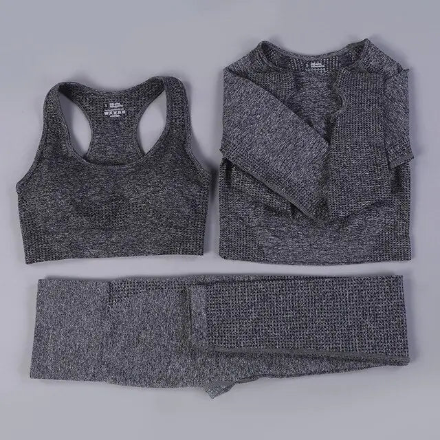 2/3PCS Seamless Women Workout Sportswear Vivareflex Online