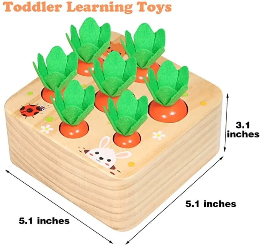 Wooden Toys for Toddlers - Vivareflex Online