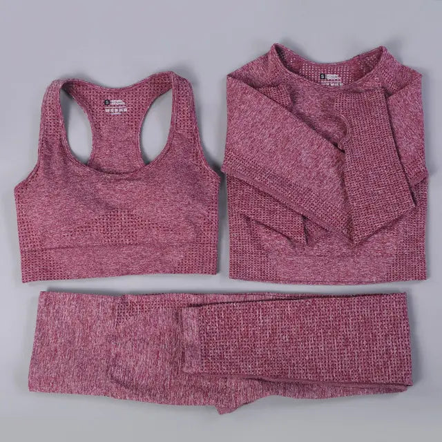 2/3PCS Seamless Women Workout Sportswear Vivareflex Online