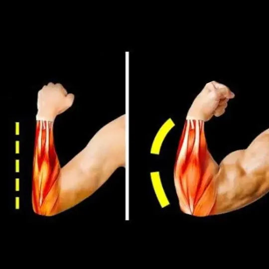 Flexor Force + Complete Workout for Muscle Mass Gain_Vivareflex_Online