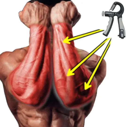 Flexor Force + Complete Workout Muscle Mass Gain_Vivareflex_Online